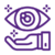Low Vision Assessment